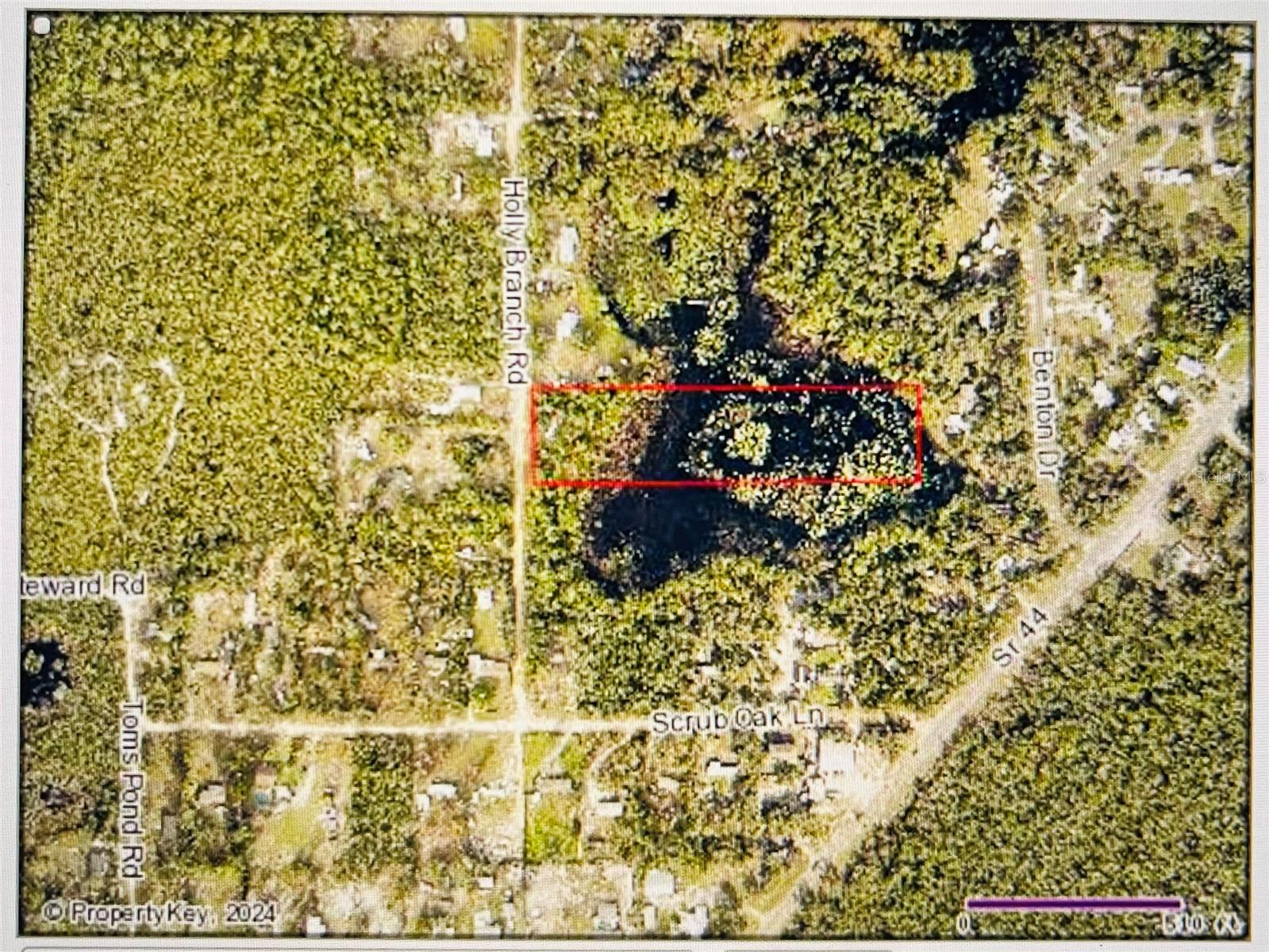 HOLLY BRANCH RD, EUSTIS, FL, 32736