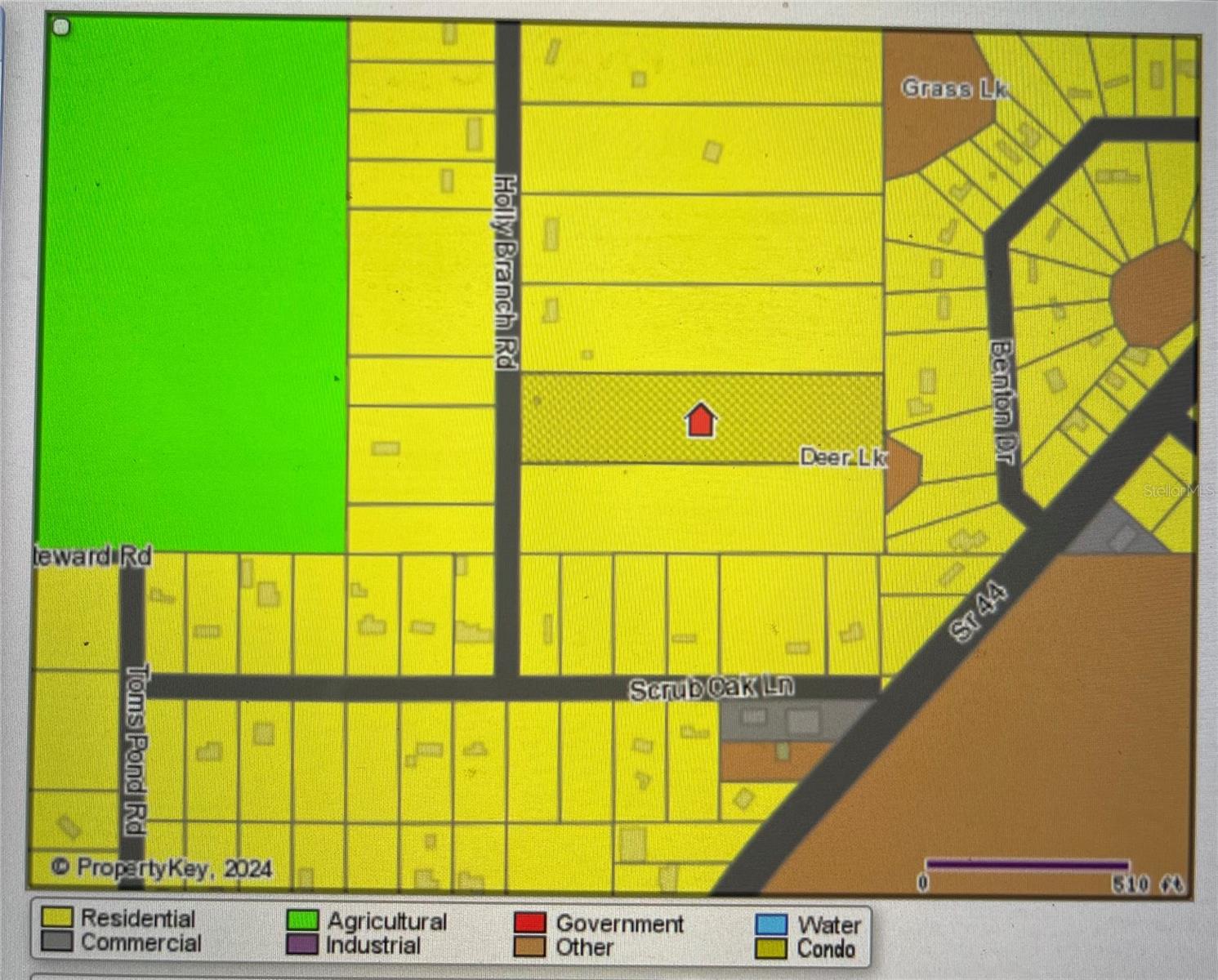 HOLLY BRANCH RD, EUSTIS, FL, 32736