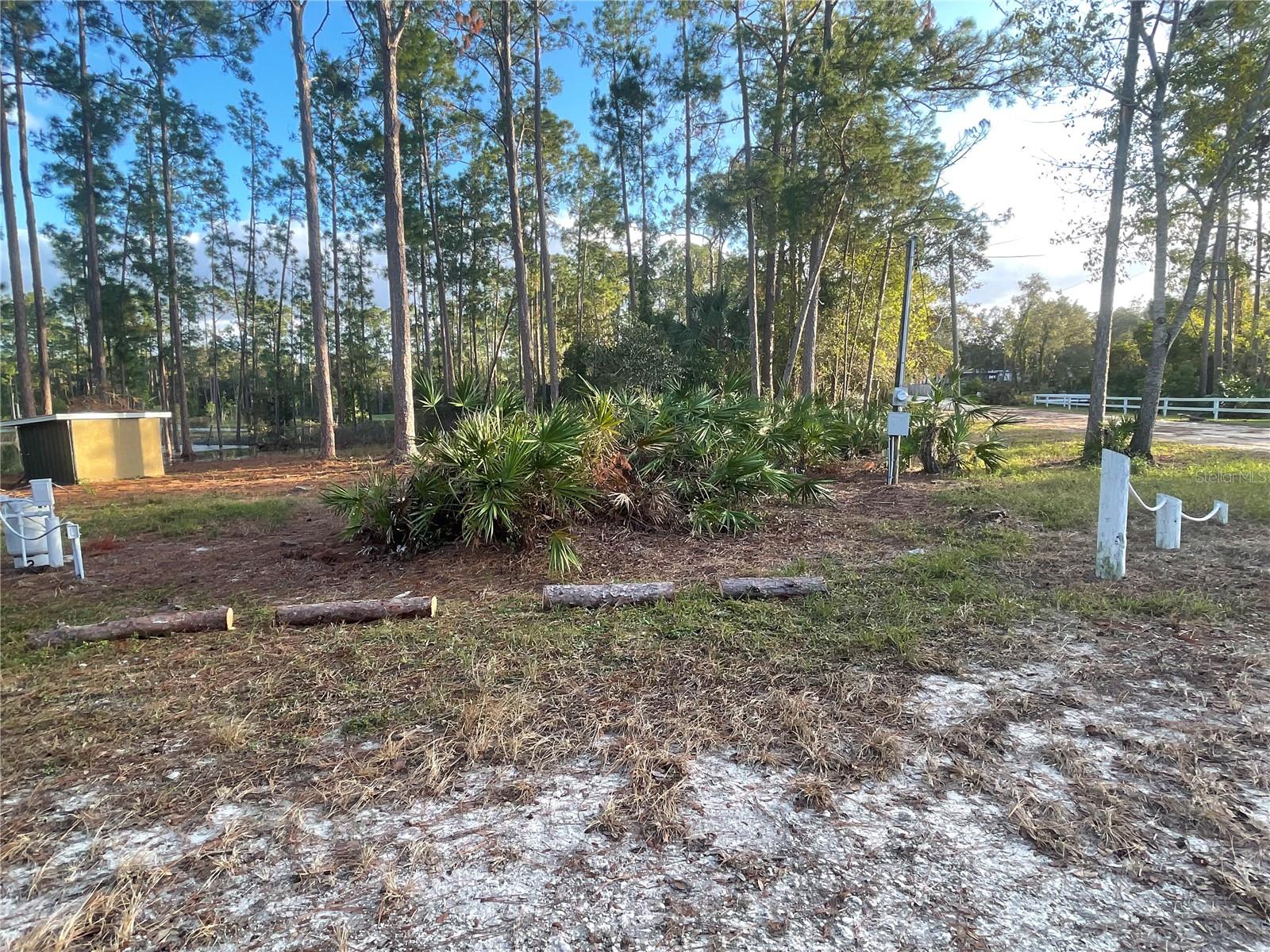HOLLY BRANCH RD, EUSTIS, FL, 32736