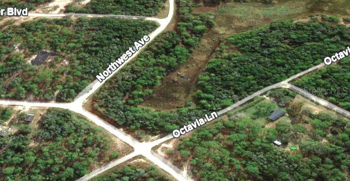 NORTHWEST AVE, WEBSTER, FL, 33597