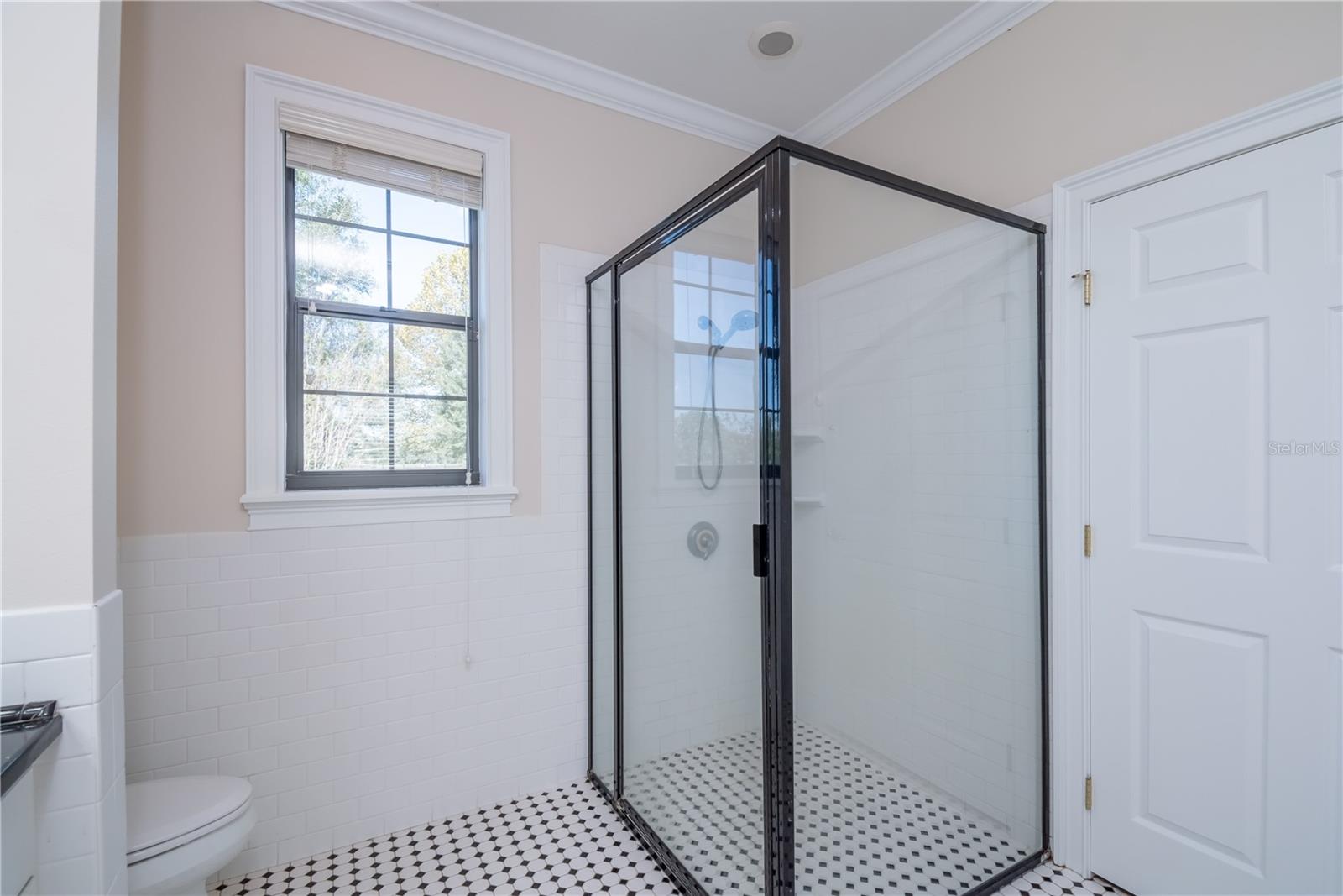 245 NW 117TH ST, OCALA, FL, 34475