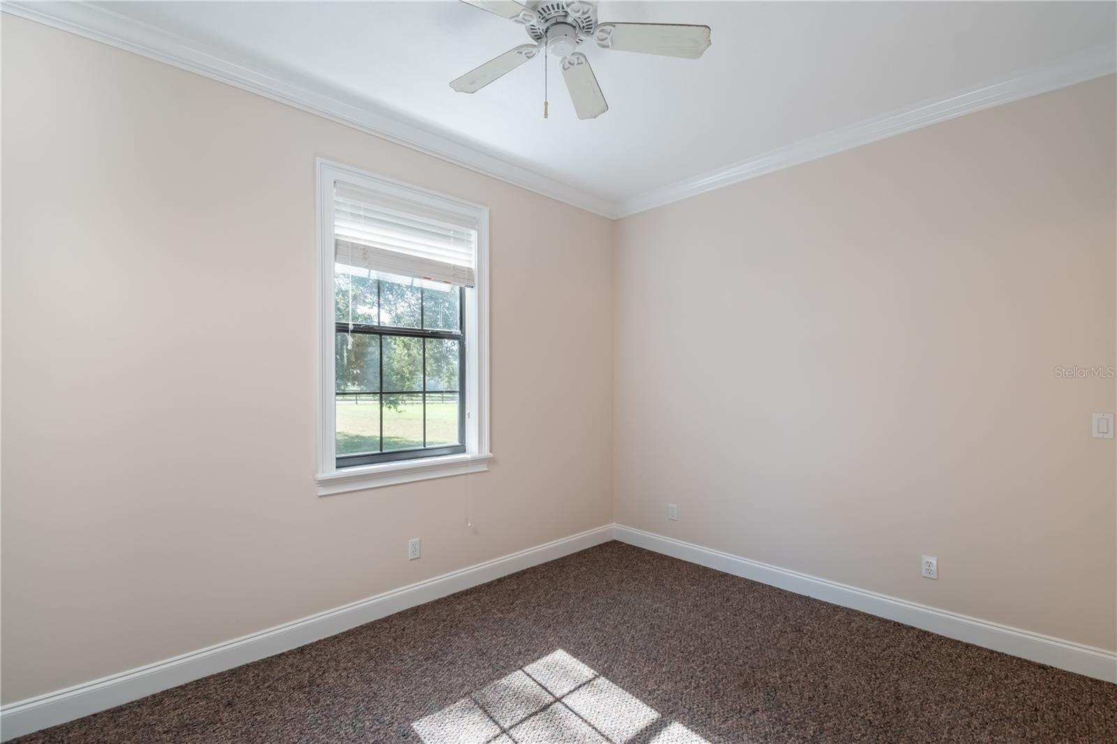 245 NW 117TH ST, OCALA, FL, 34475