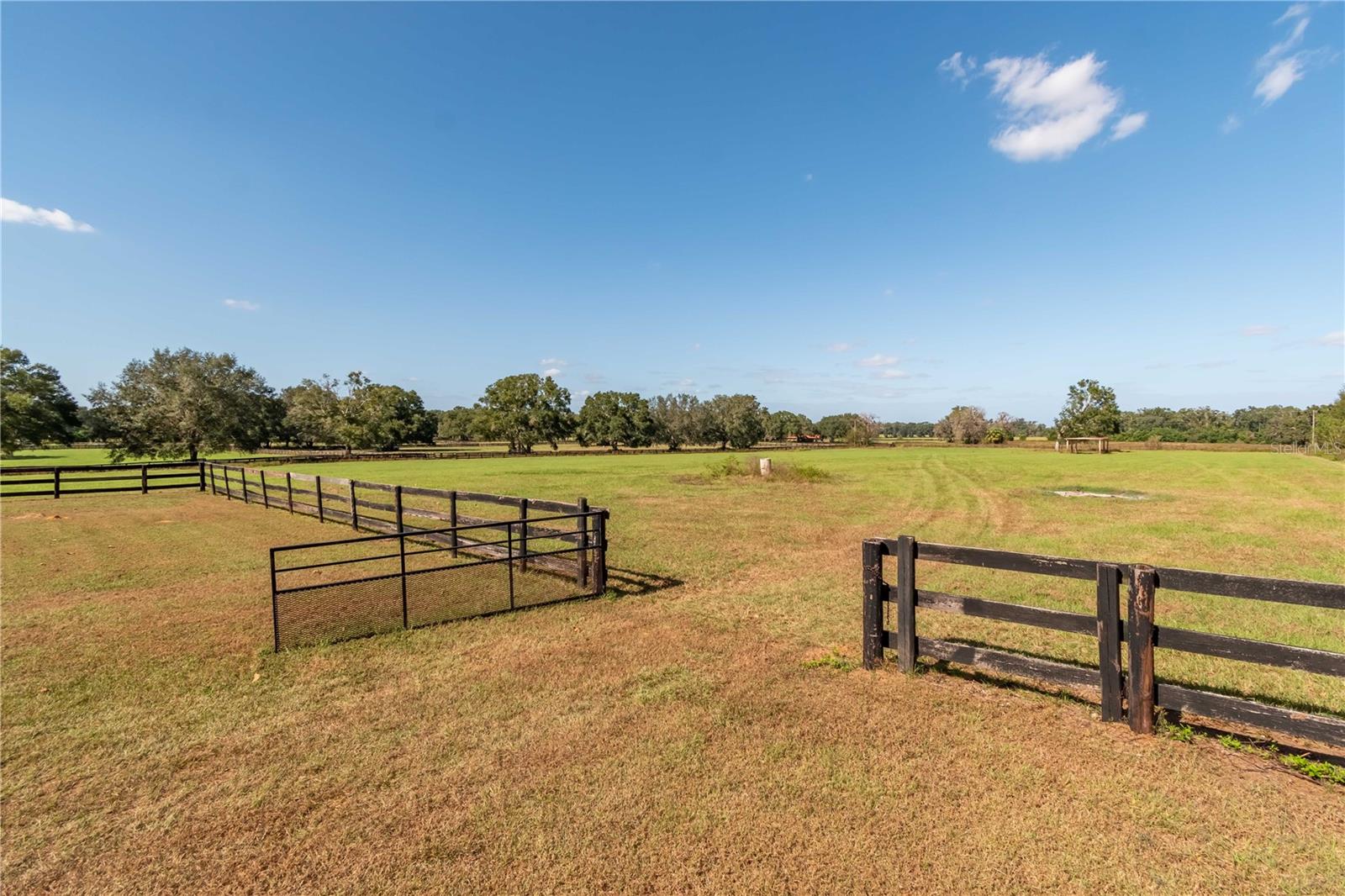 245 NW 117TH ST, OCALA, FL, 34475