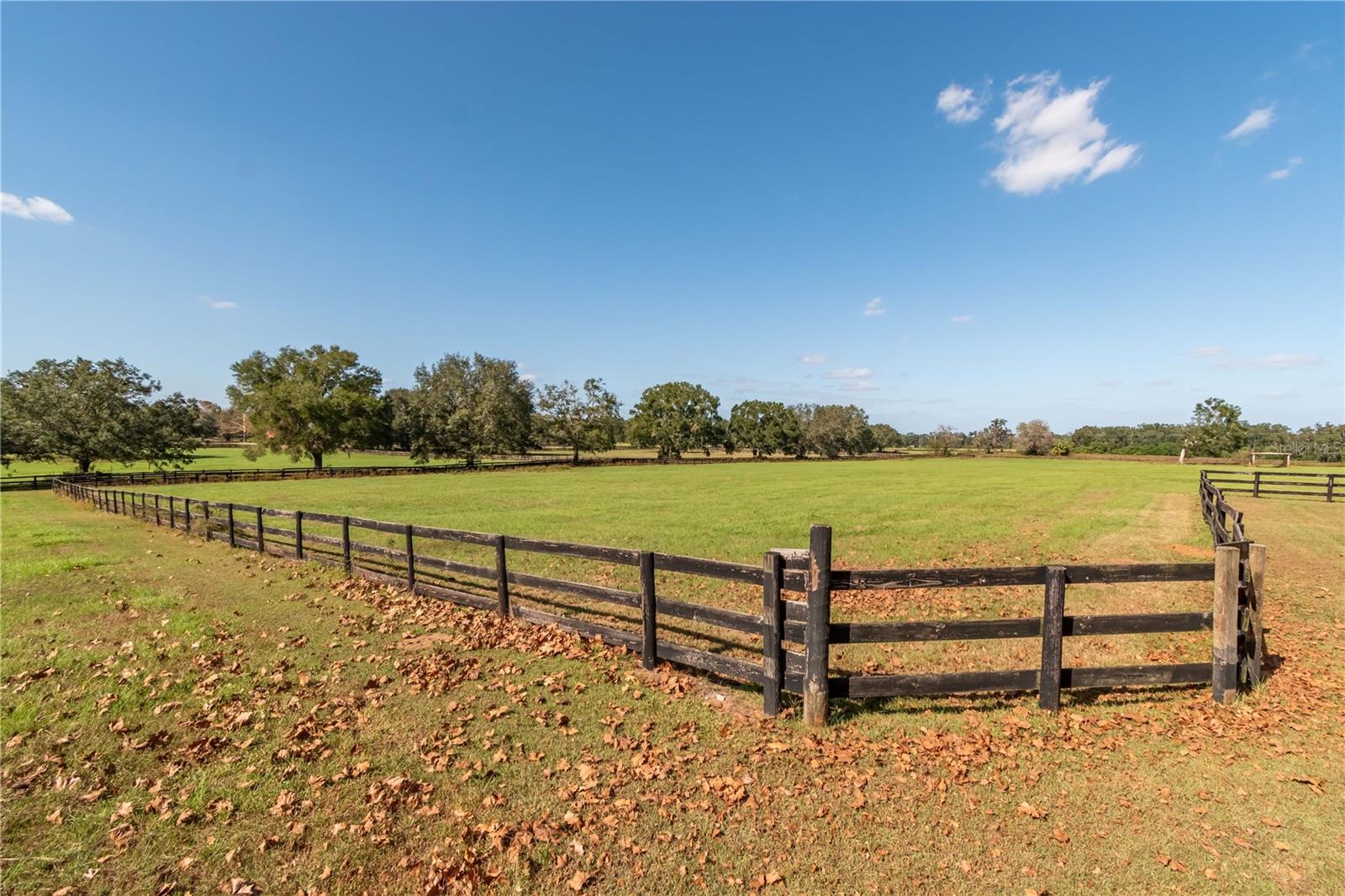 245 NW 117TH ST, OCALA, FL, 34475