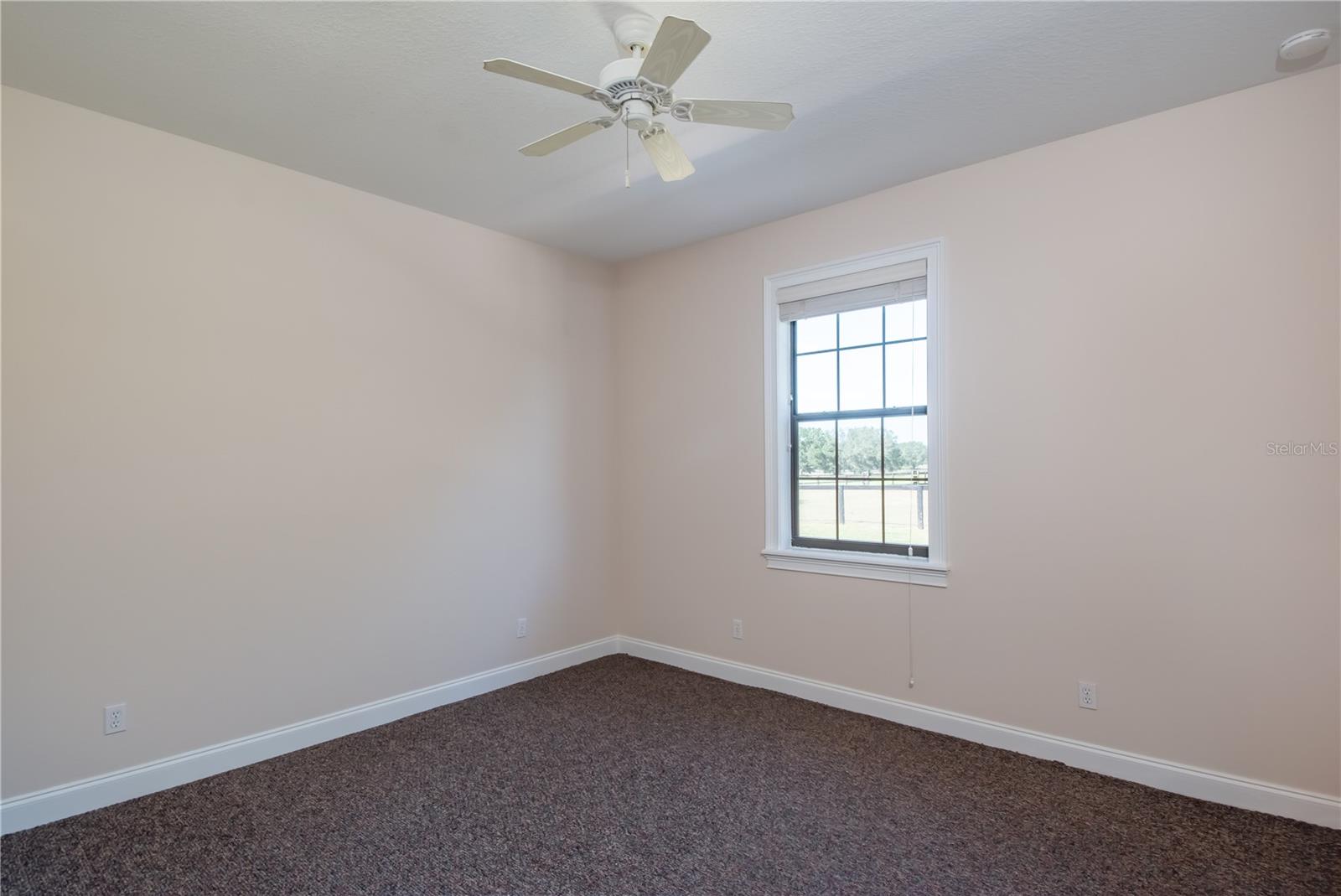 245 NW 117TH ST, OCALA, FL, 34475