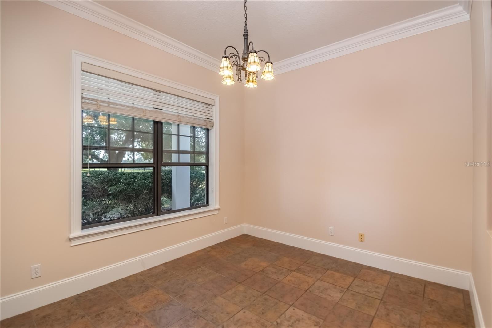 245 NW 117TH ST, OCALA, FL, 34475