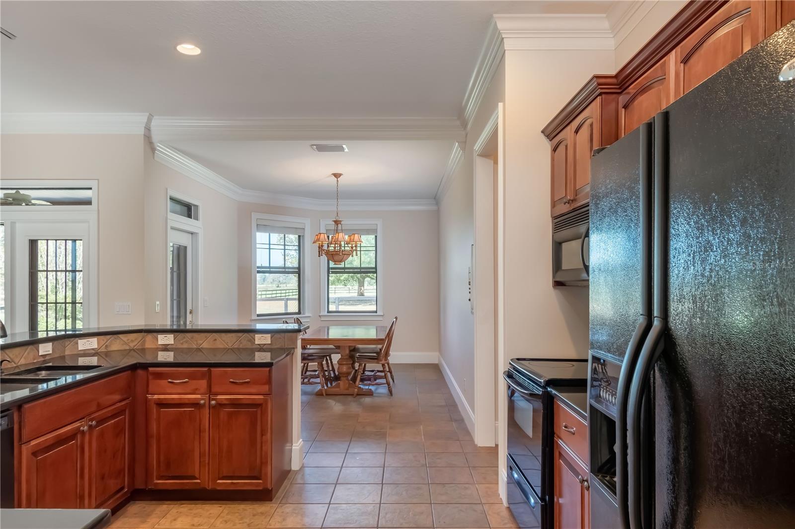 245 NW 117TH ST, OCALA, FL, 34475