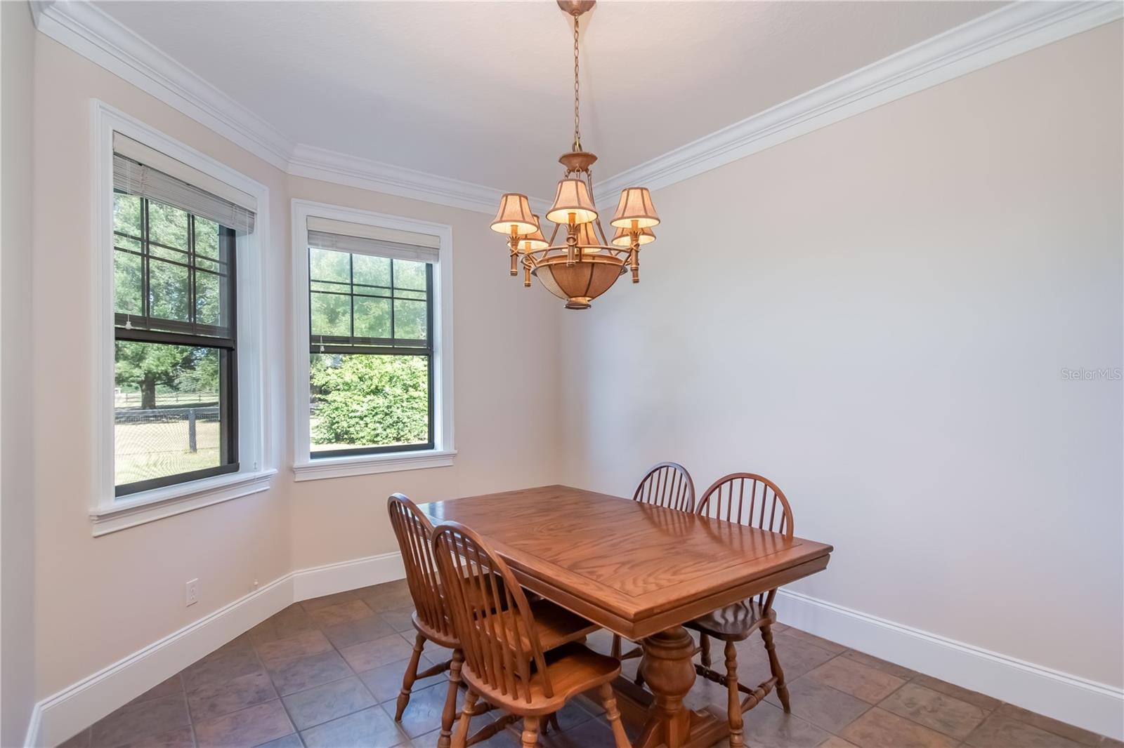 245 NW 117TH ST, OCALA, FL, 34475