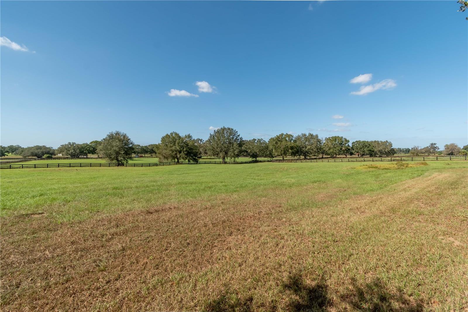 245 NW 117TH ST, OCALA, FL, 34475