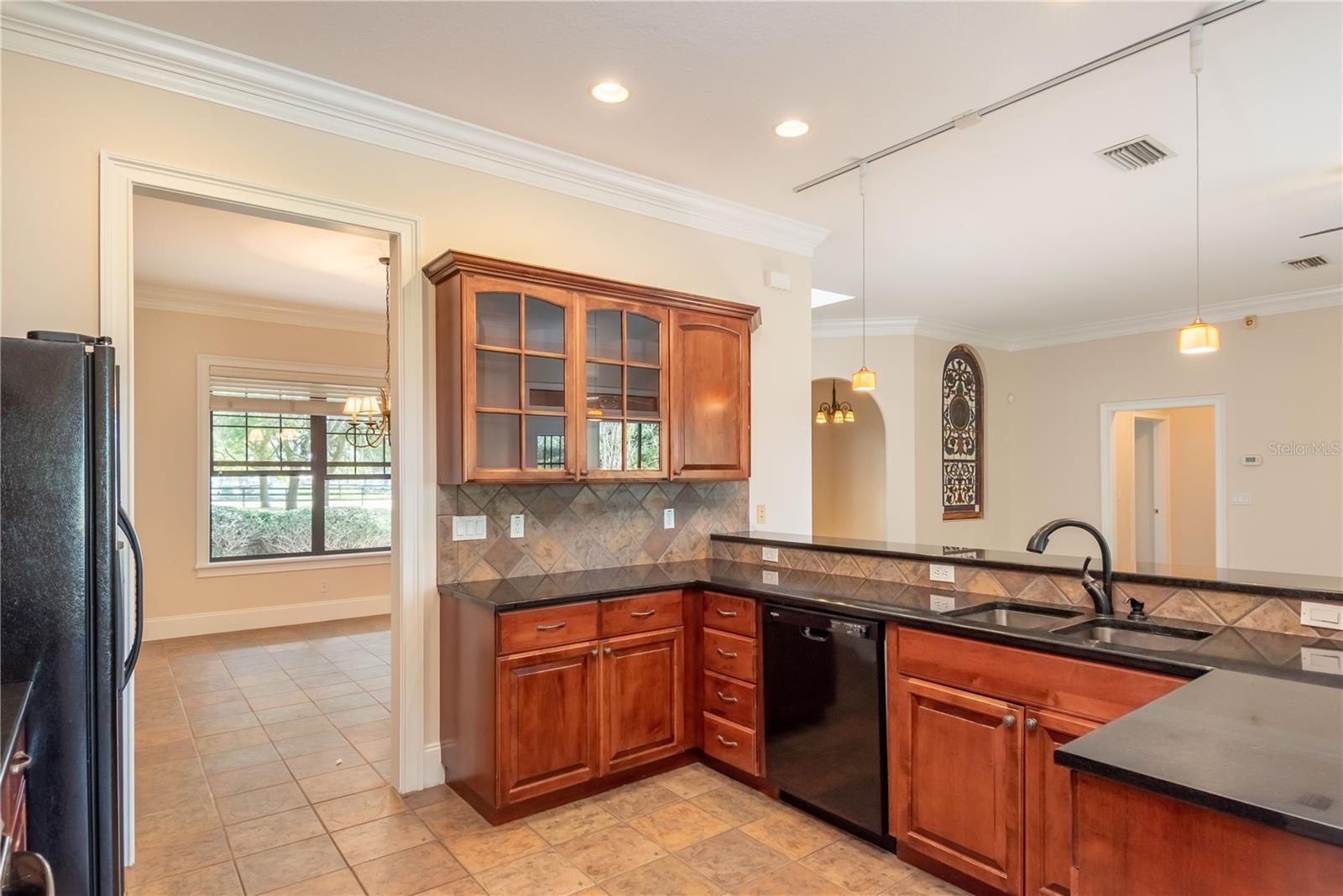 245 NW 117TH ST, OCALA, FL, 34475