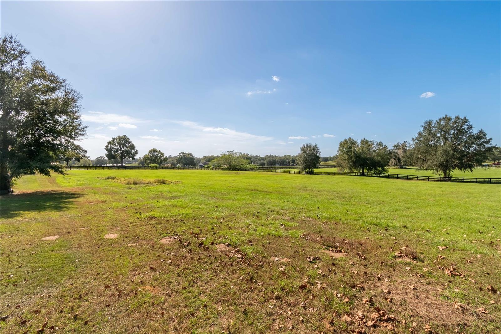 245 NW 117TH ST, OCALA, FL, 34475