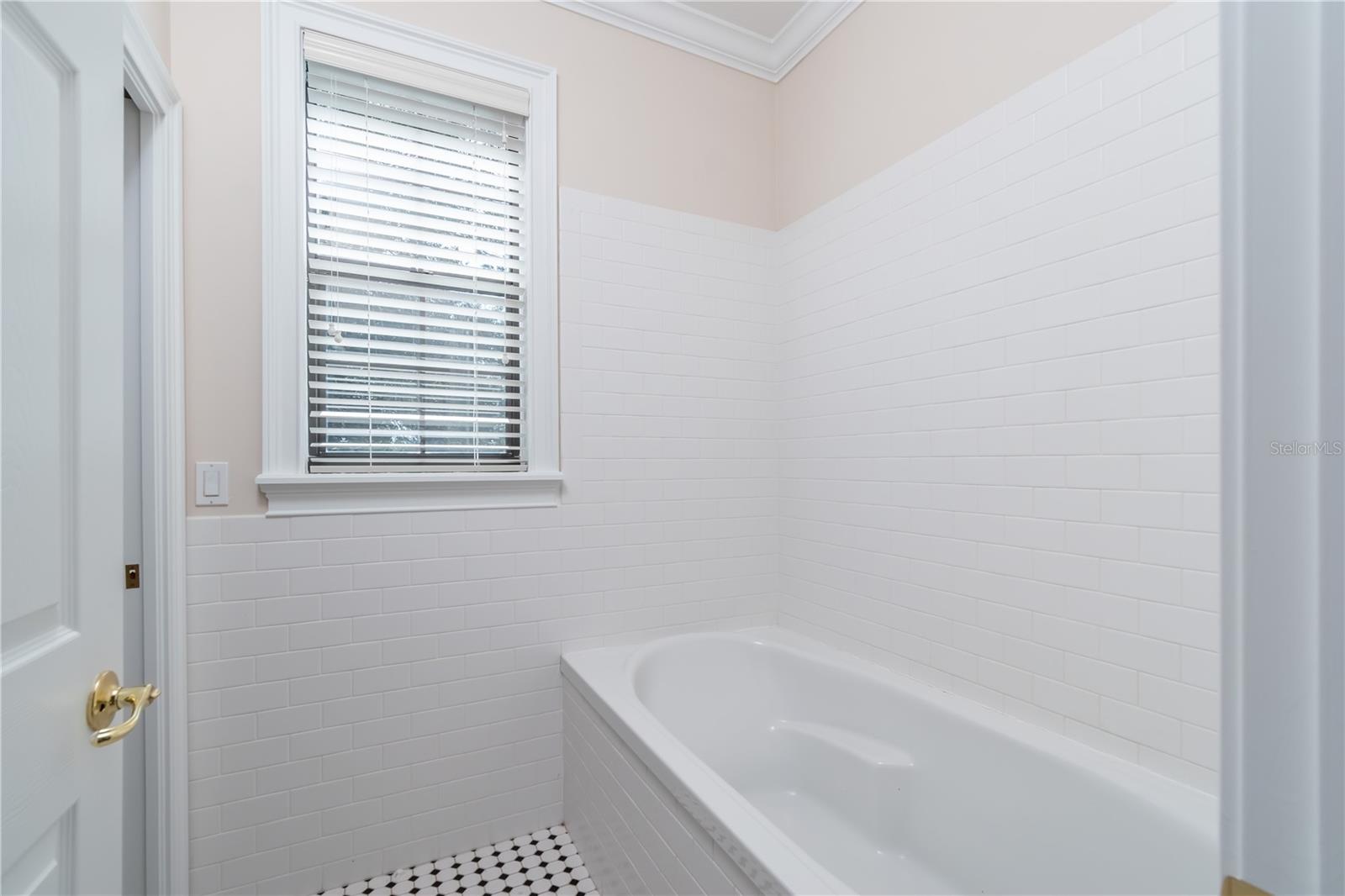 245 NW 117TH ST, OCALA, FL, 34475