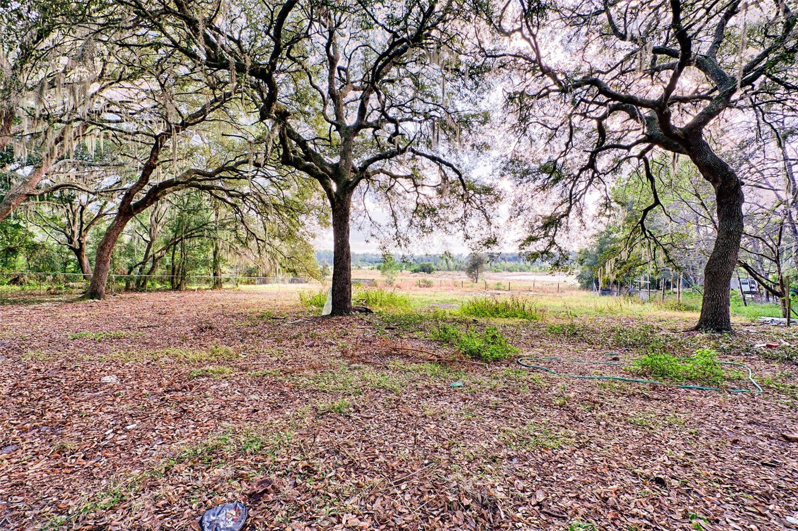185 LAKEVIEW DR, MELROSE, FL, 32666