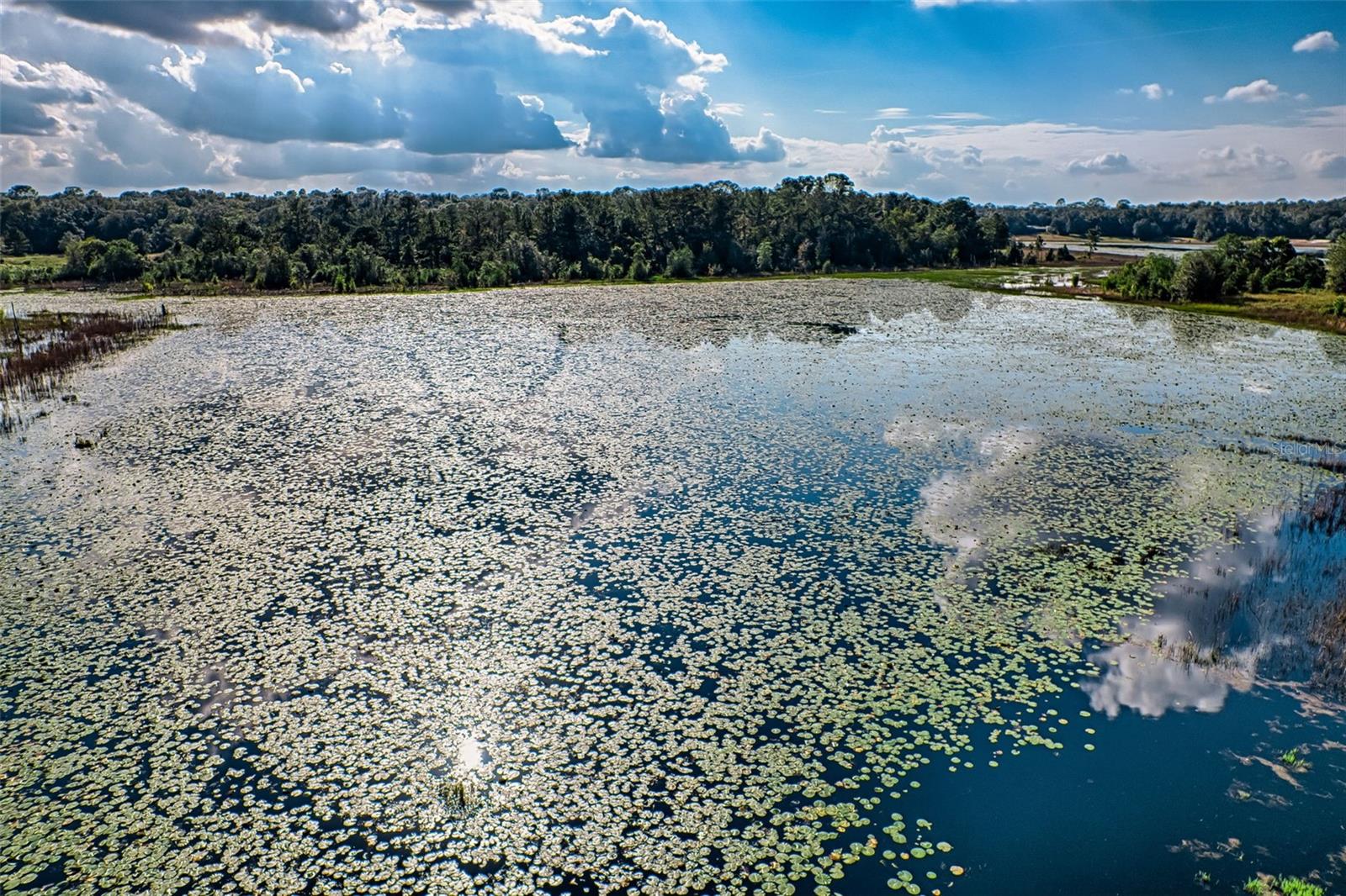 185 LAKEVIEW DR, MELROSE, FL, 32666