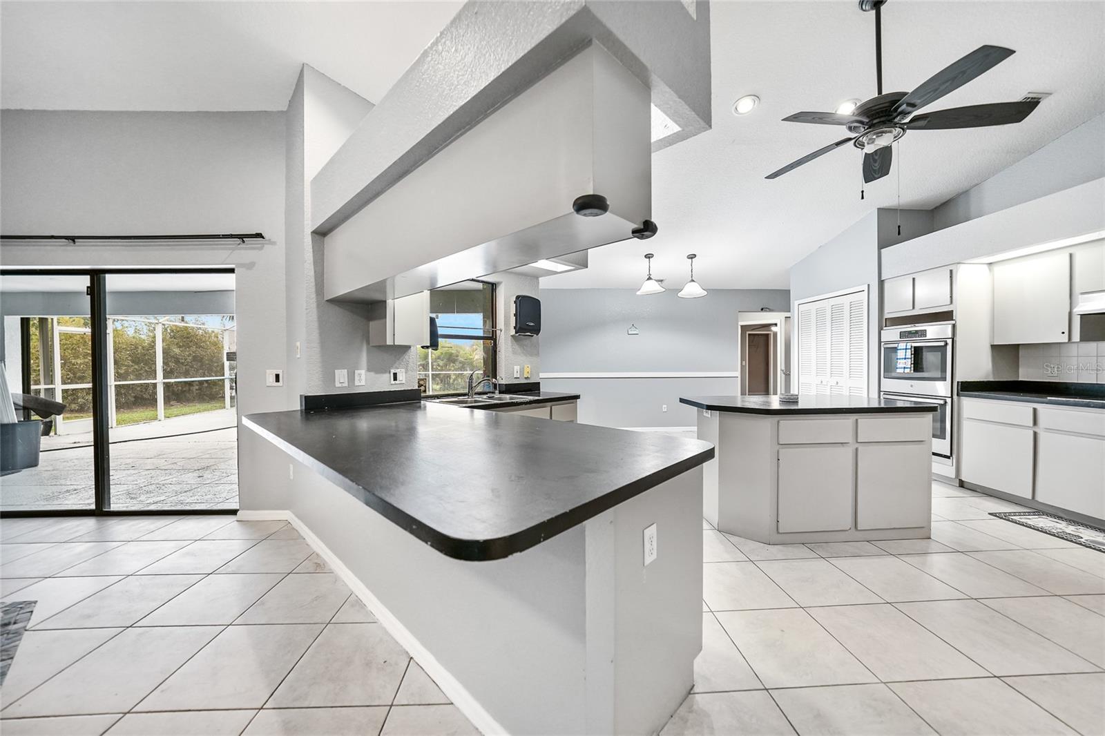 411 SCARLET SAGE, PUNTA GORDA, FL, 33955