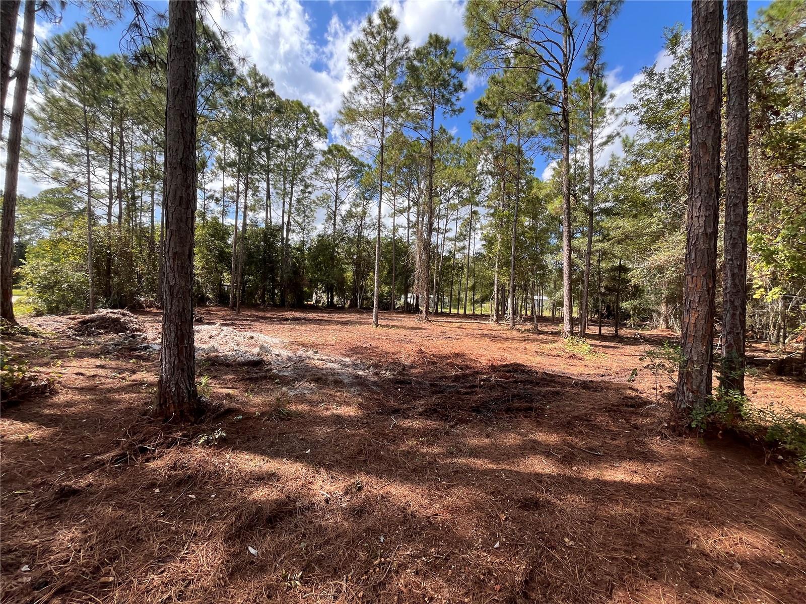 4192 OLEANDER AVE, BUNNELL, FL, 32110