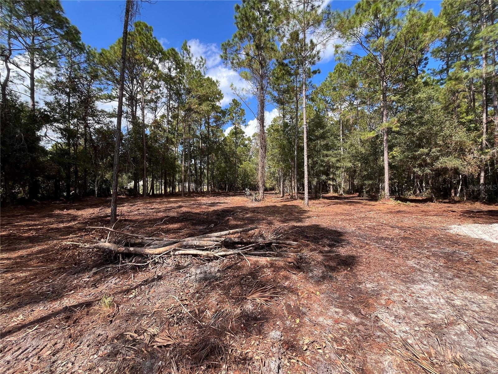 4192 OLEANDER AVE, BUNNELL, FL, 32110