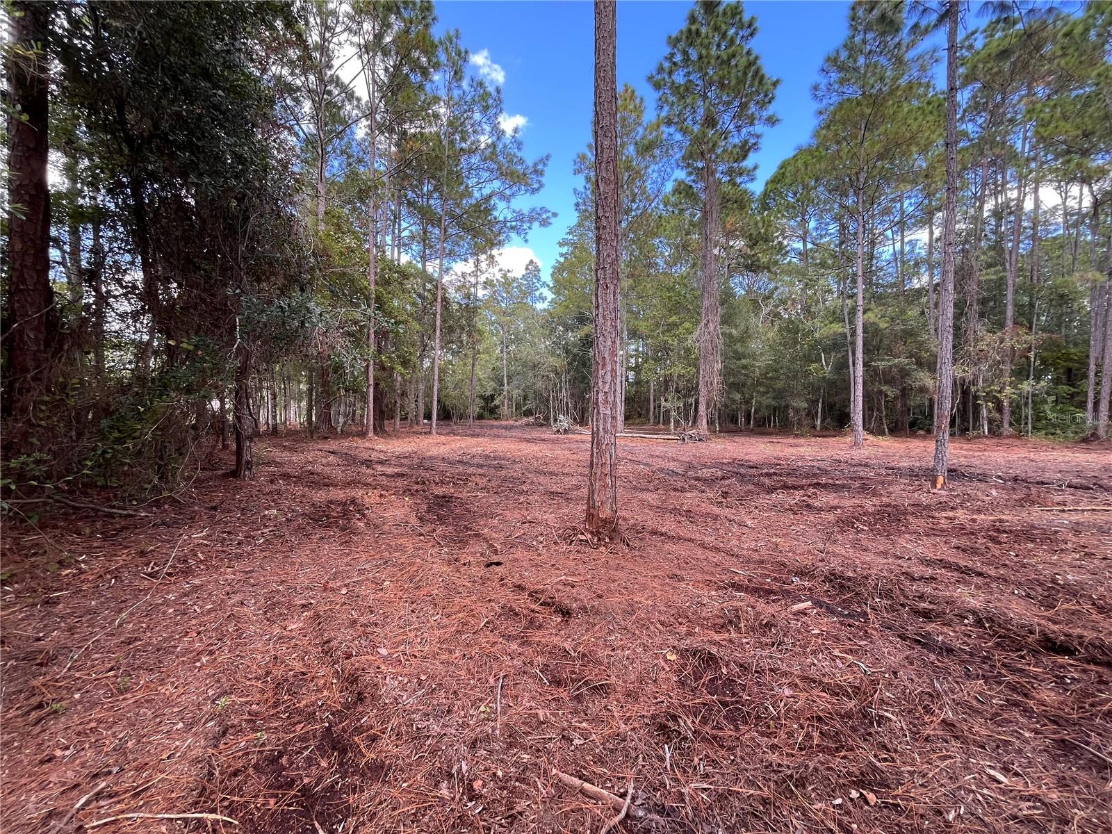 4192 OLEANDER AVE, BUNNELL, FL, 32110