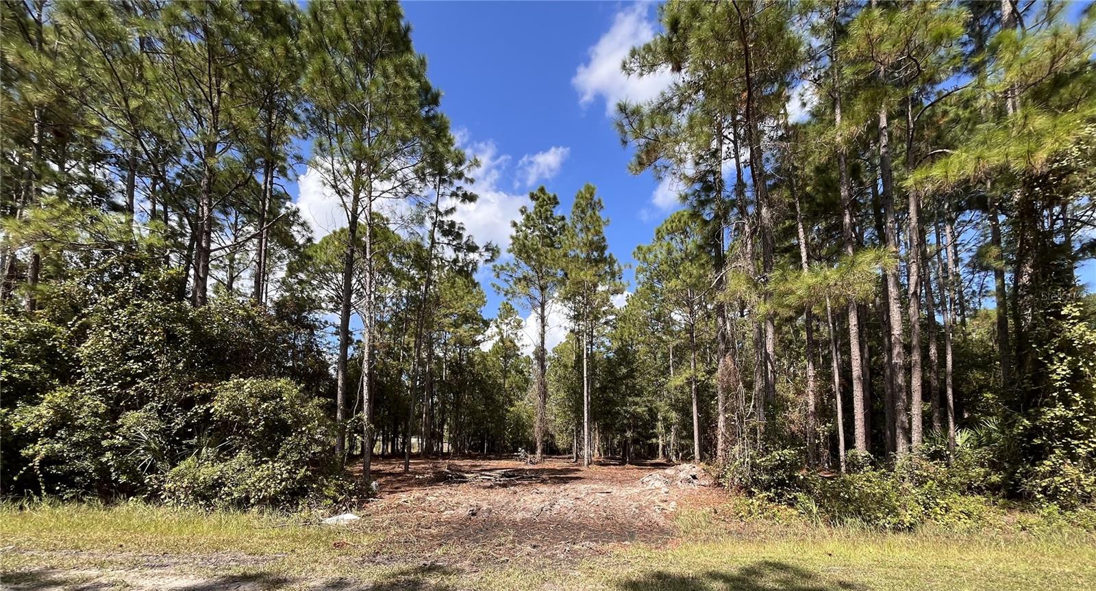 4192 OLEANDER AVE, BUNNELL, FL, 32110
