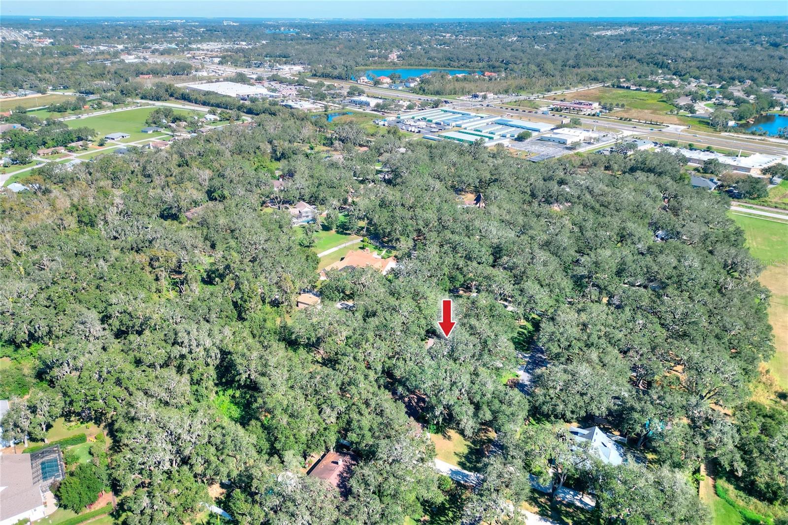 1159 LONGWOOD OAKS BLVD, LAKELAND, FL, 33811