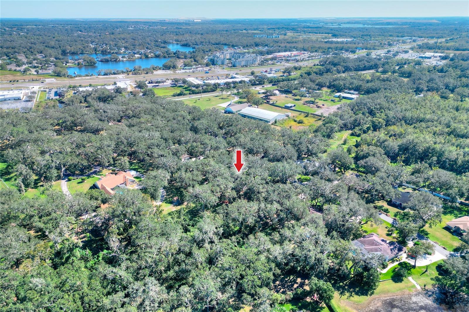 1159 LONGWOOD OAKS BLVD, LAKELAND, FL, 33811