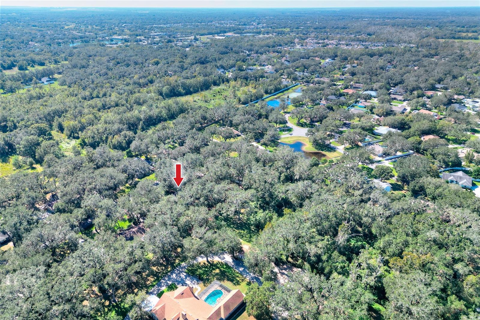 1159 LONGWOOD OAKS BLVD, LAKELAND, FL, 33811