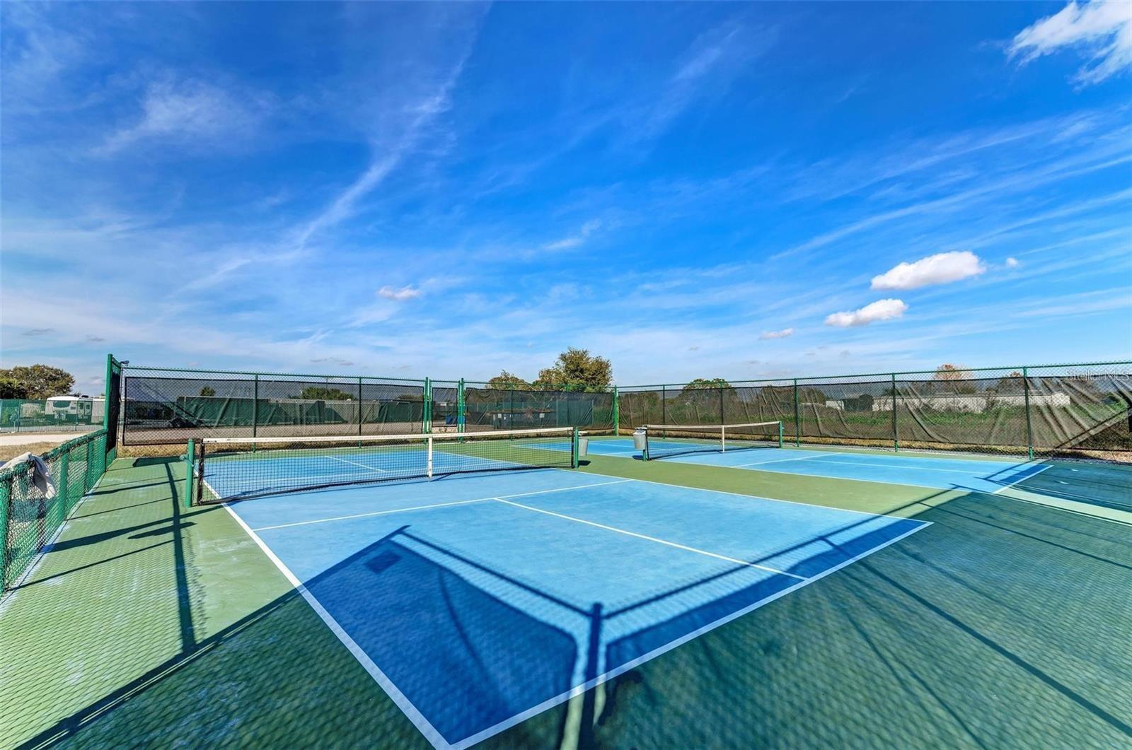 8676 SW SAND CRANE CIR, ARCADIA, FL, 34269