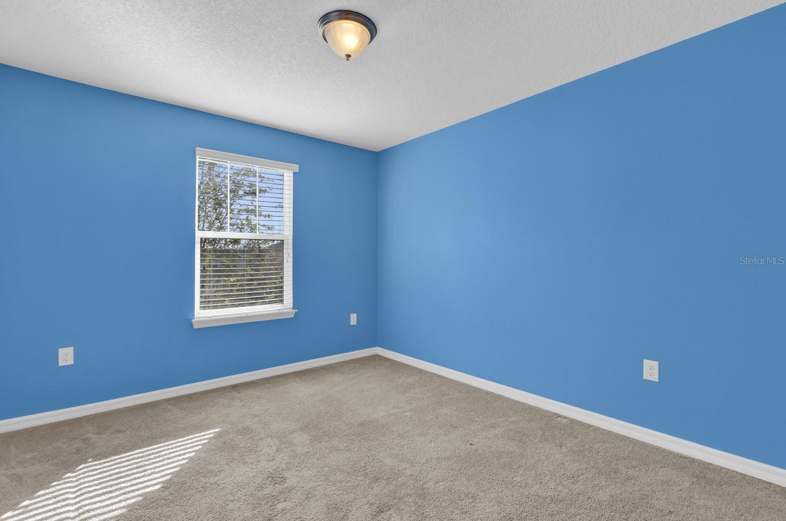 15588 BLACKBEAD ST, WINTER GARDEN, FL, 34787