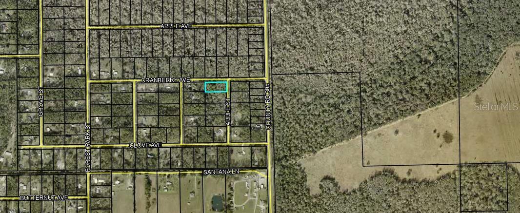 3615 CRANBERRY AVE AVE, BUNNELL, FL, 32110
