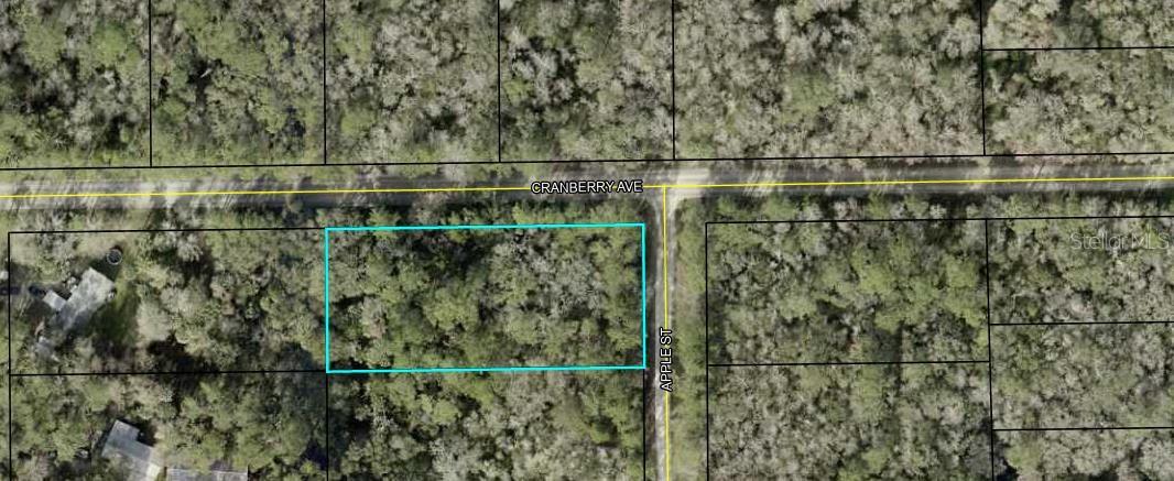 3615 CRANBERRY AVE AVE, BUNNELL, FL, 32110
