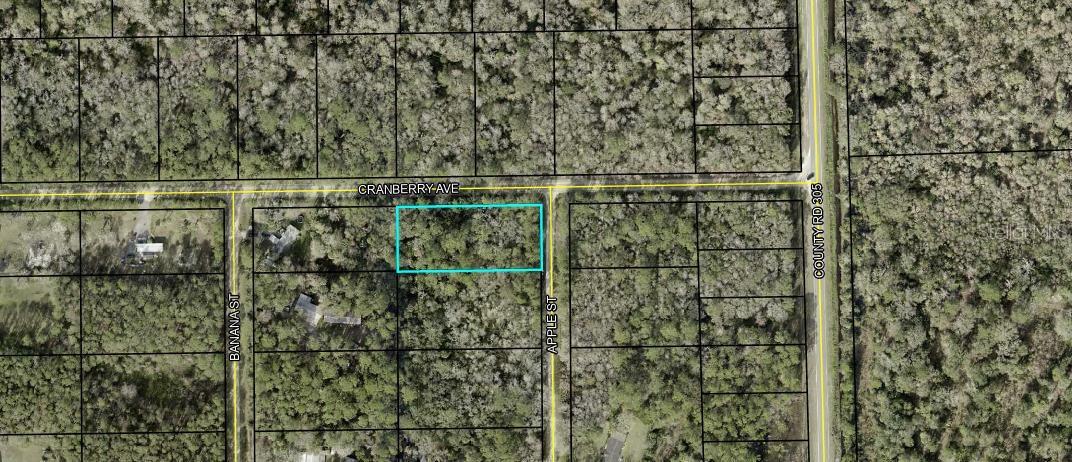 3615 CRANBERRY AVE AVE, BUNNELL, FL, 32110