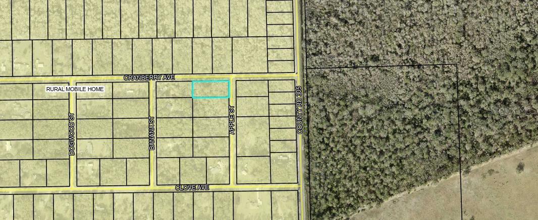 3615 CRANBERRY AVE AVE, BUNNELL, FL, 32110