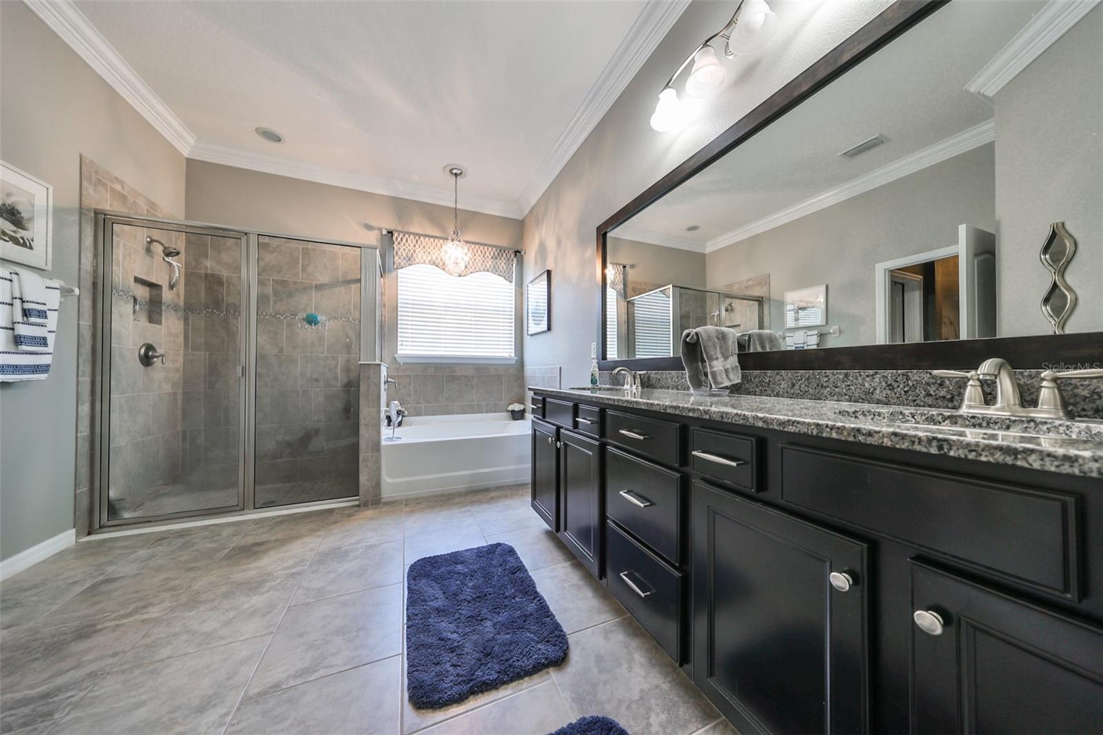 10401 RIVERDALE RISE DR, RIVERVIEW, FL, 33578