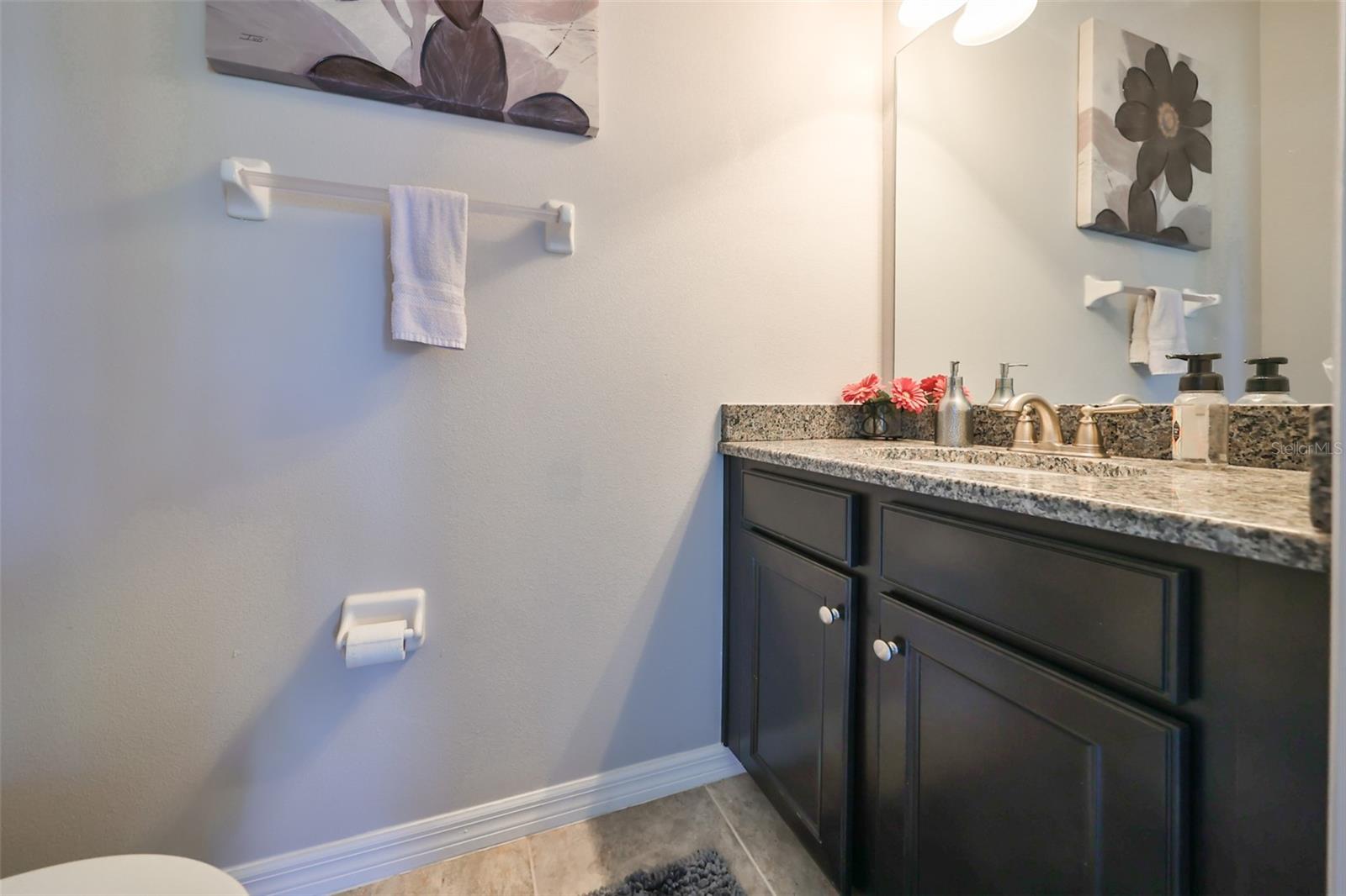 10401 RIVERDALE RISE DR, RIVERVIEW, FL, 33578