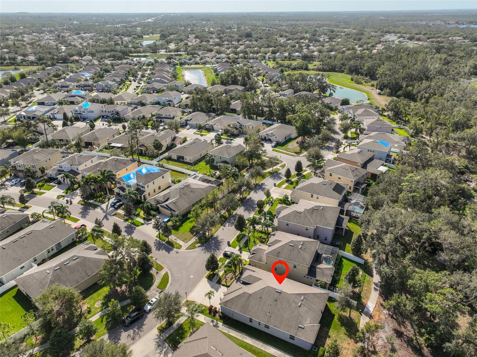 10401 RIVERDALE RISE DR, RIVERVIEW, FL, 33578
