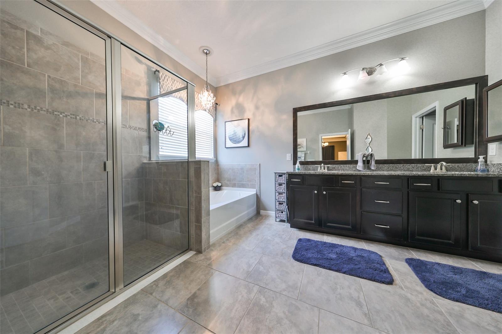 10401 RIVERDALE RISE DR, RIVERVIEW, FL, 33578