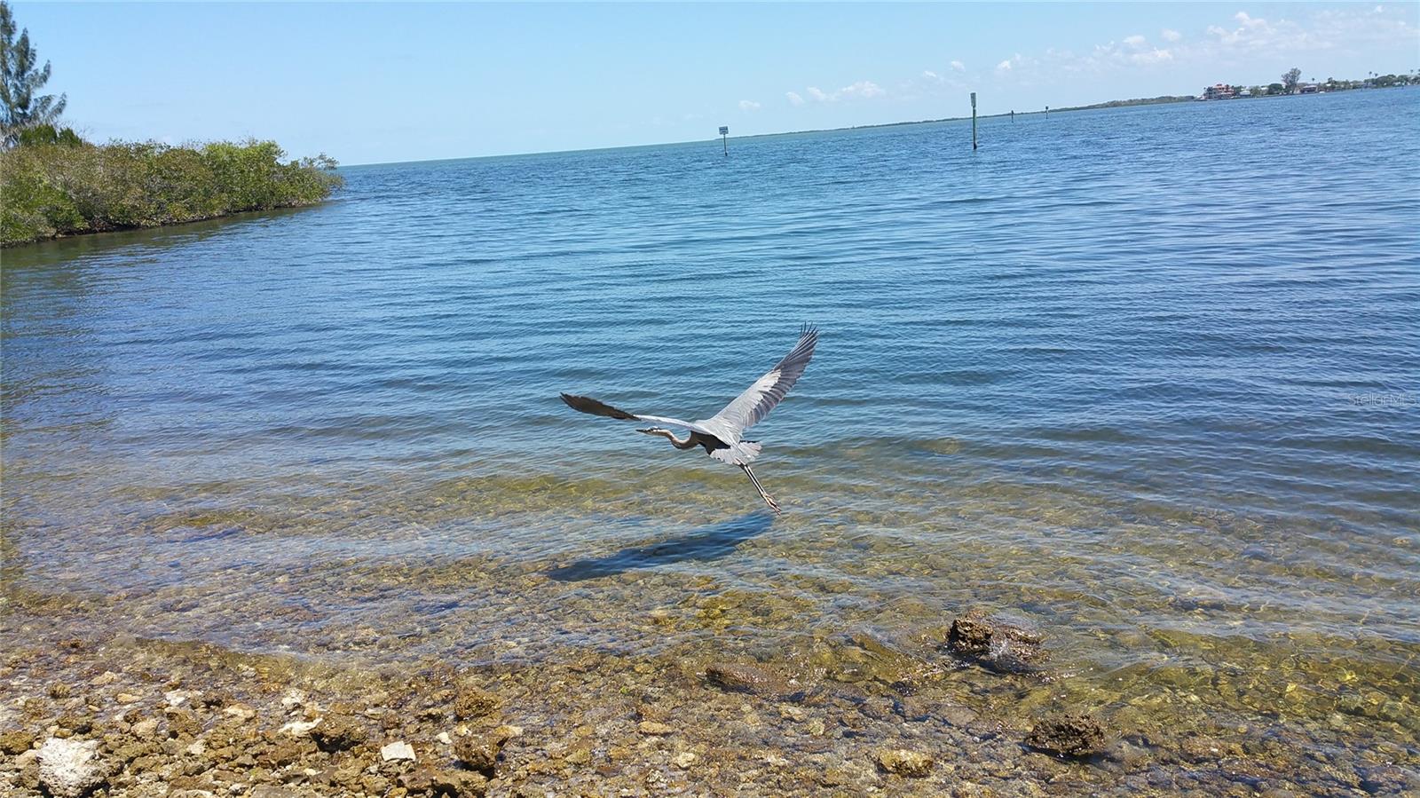 5915 SEA RANCH DR #604, HUDSON, FL, 34667
