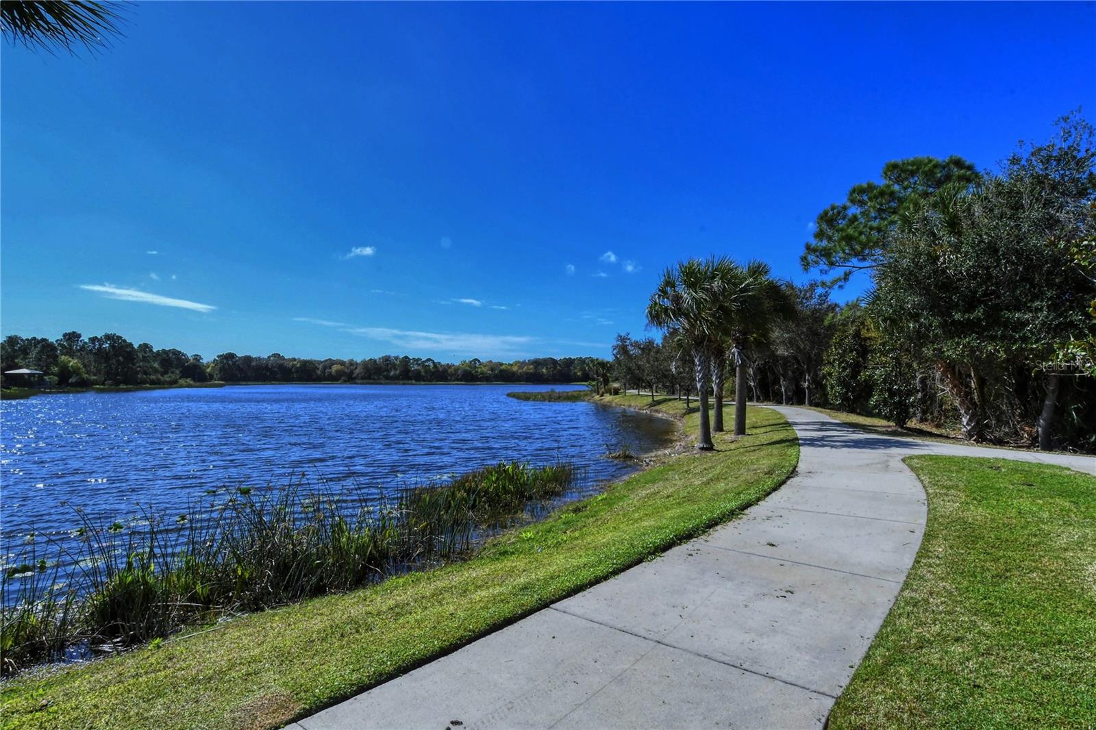 12797 PALATKA DR, VENICE, FL, 34293