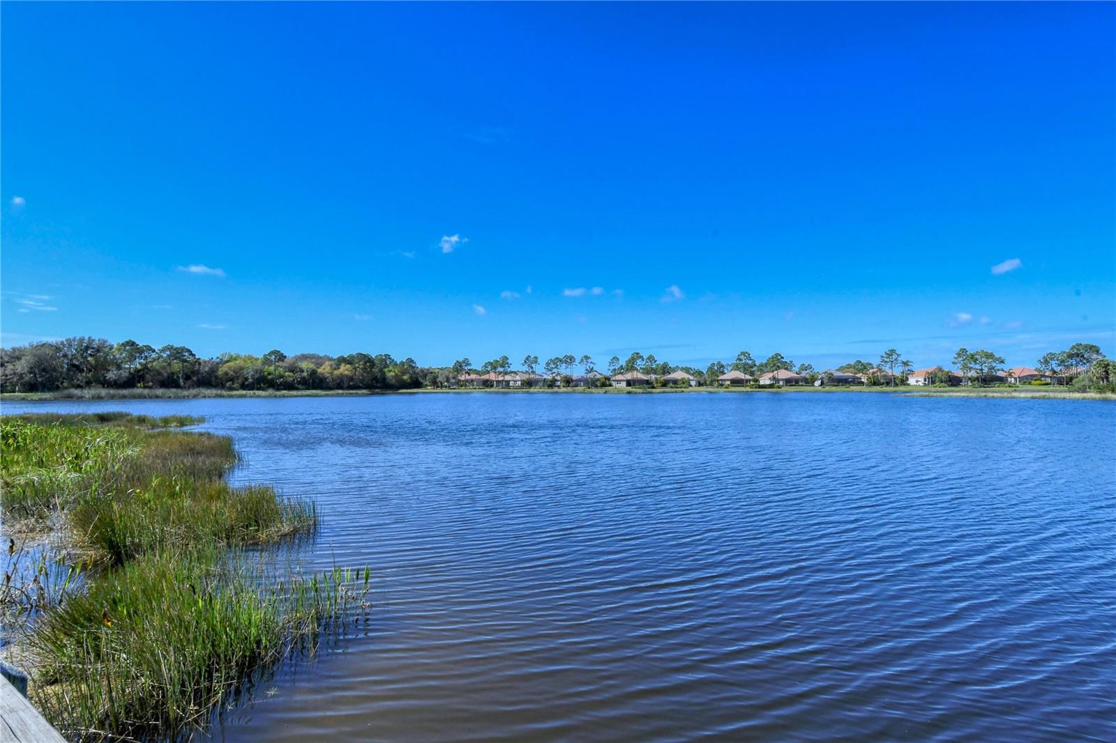 12797 PALATKA DR, VENICE, FL, 34293