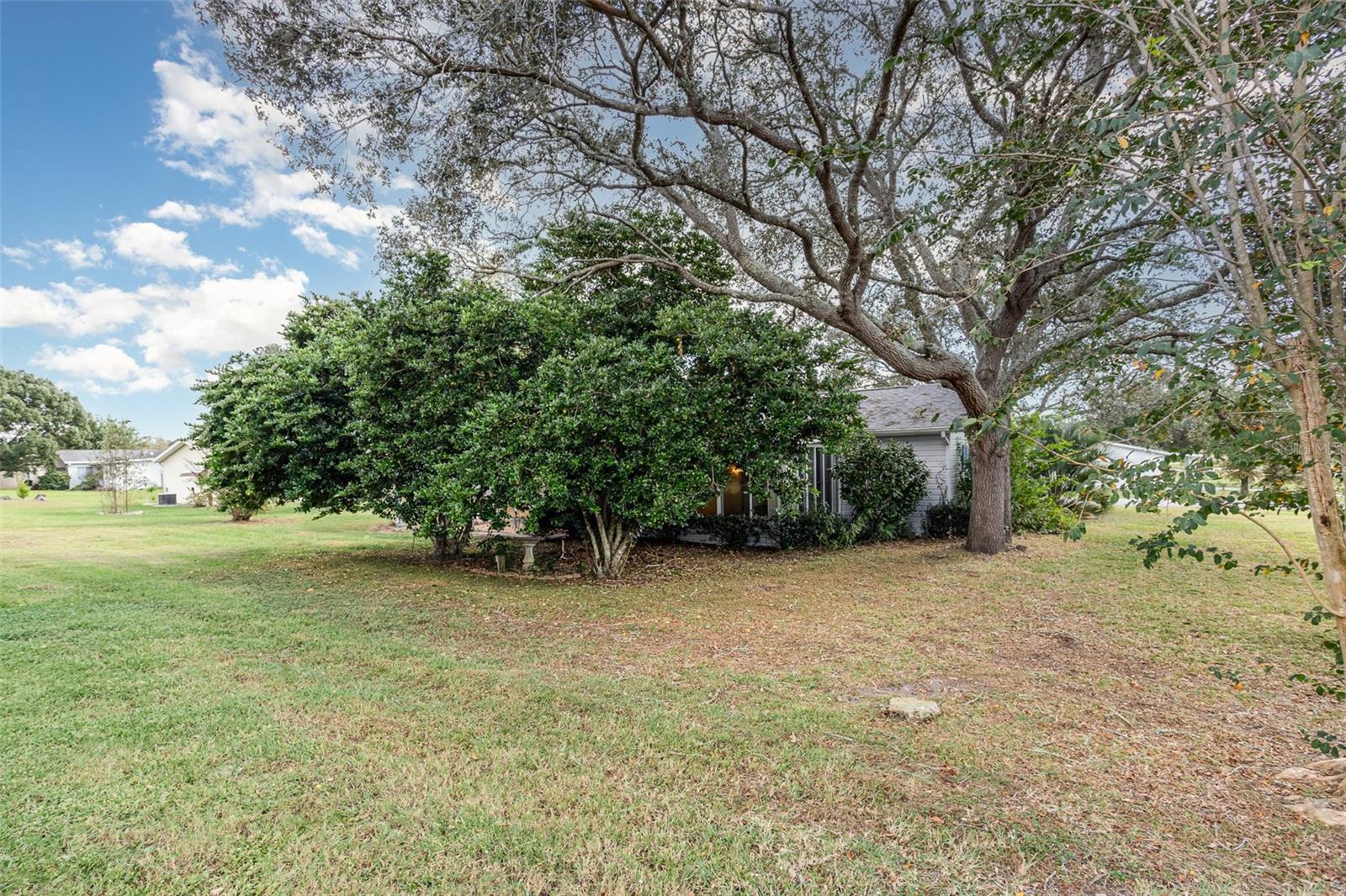 6495 SW 109TH ST, OCALA, FL, 34476