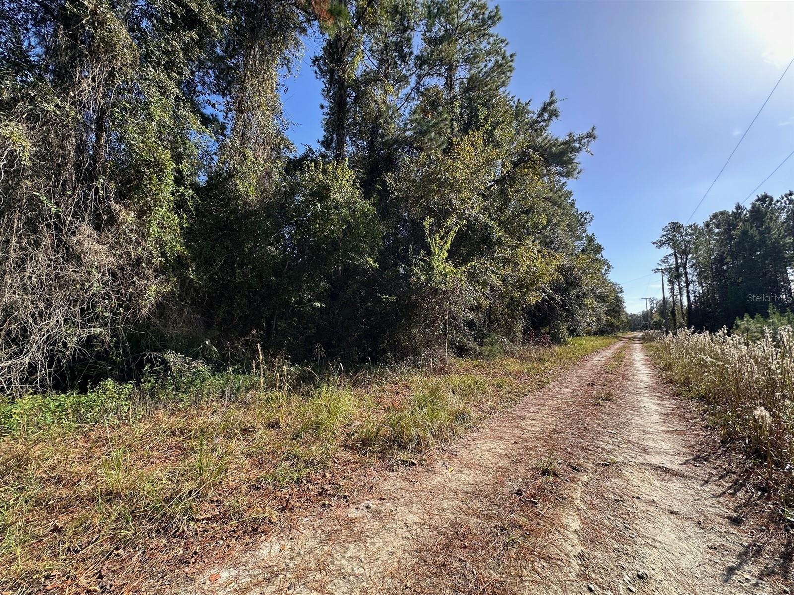 000 SR 20, HAWTHORNE, FL, 32640