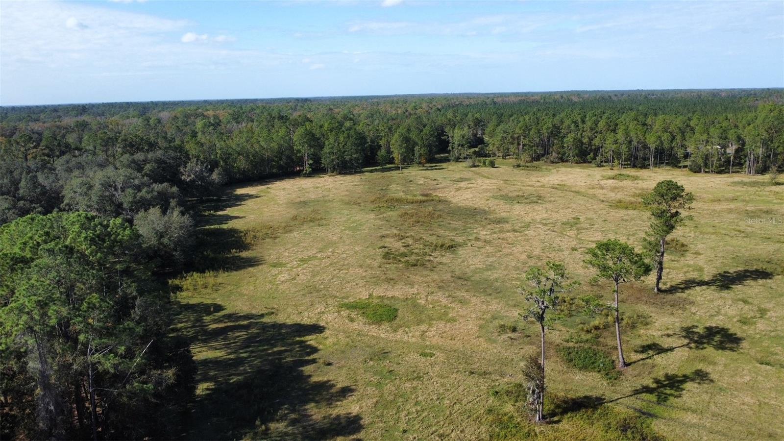 000 SR 20, HAWTHORNE, FL, 32640