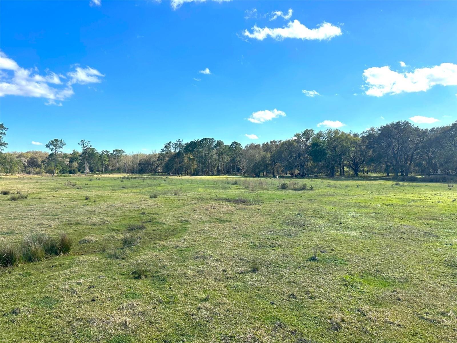 000 SR 20, HAWTHORNE, FL, 32640