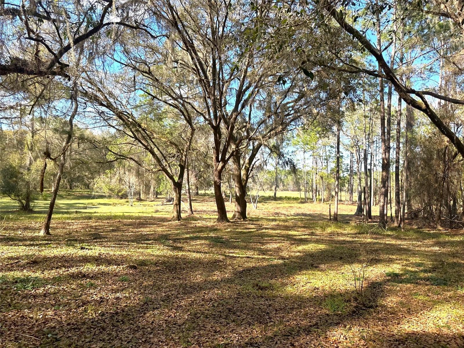 000 SR 20, HAWTHORNE, FL, 32640