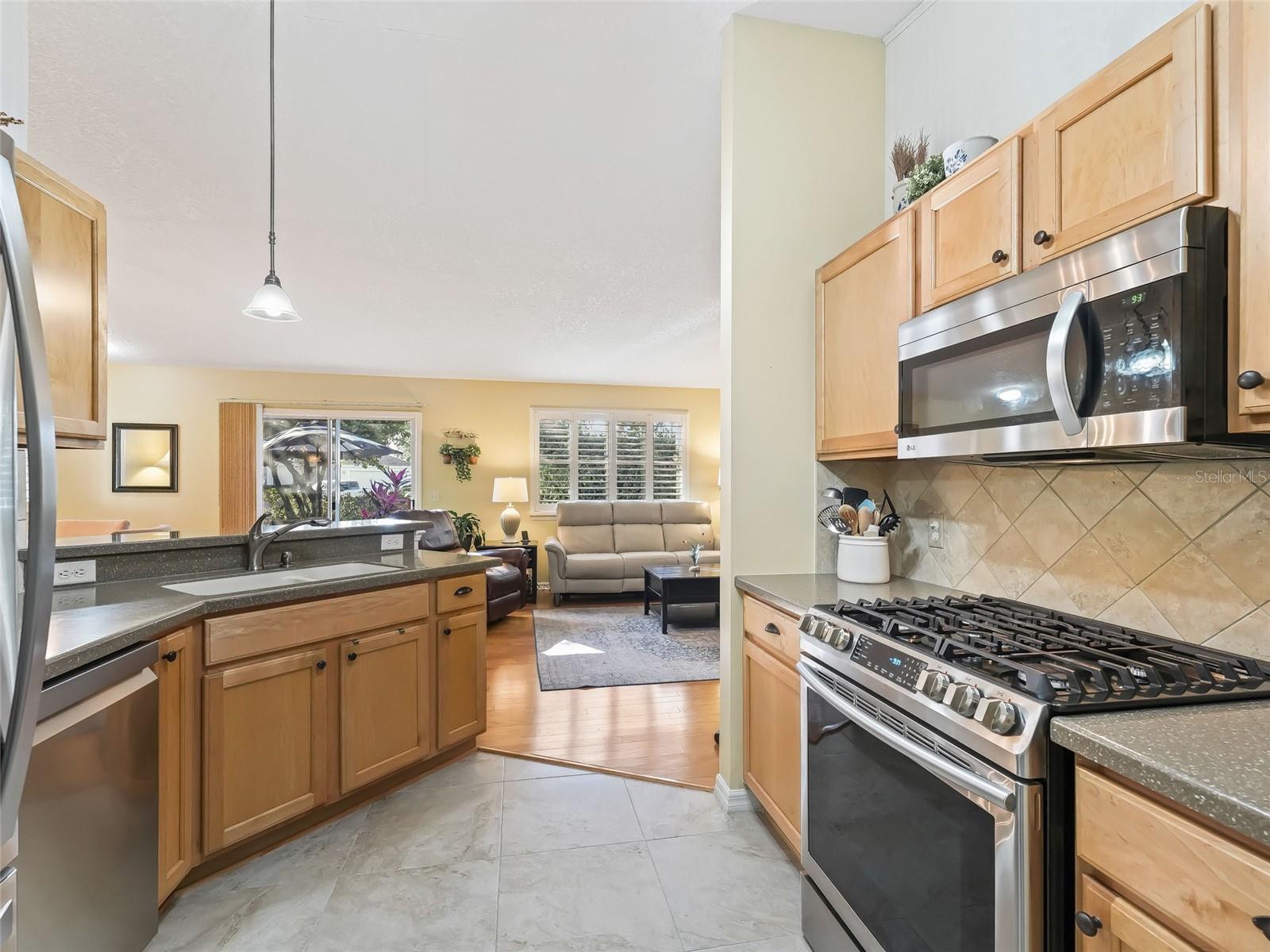 2670 SUFFOLK ST, THE VILLAGES, FL, 32162