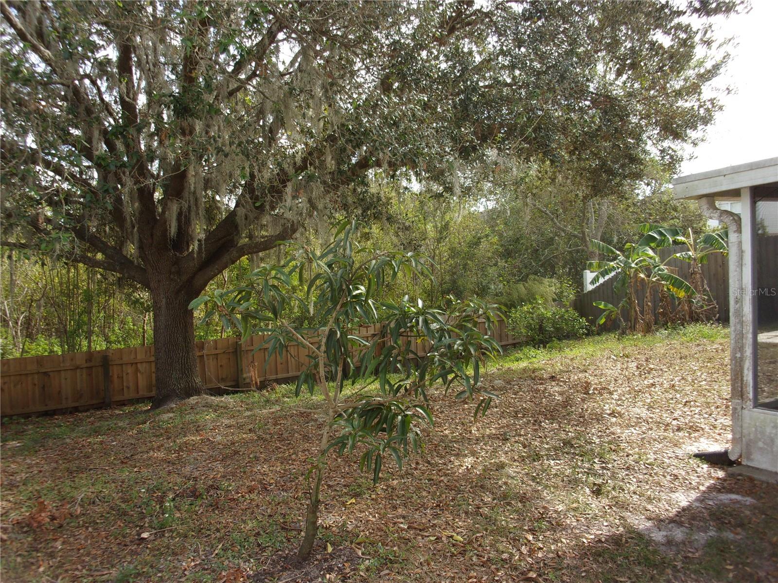 5337 TREIG LN, WESLEY CHAPEL, FL, 33545