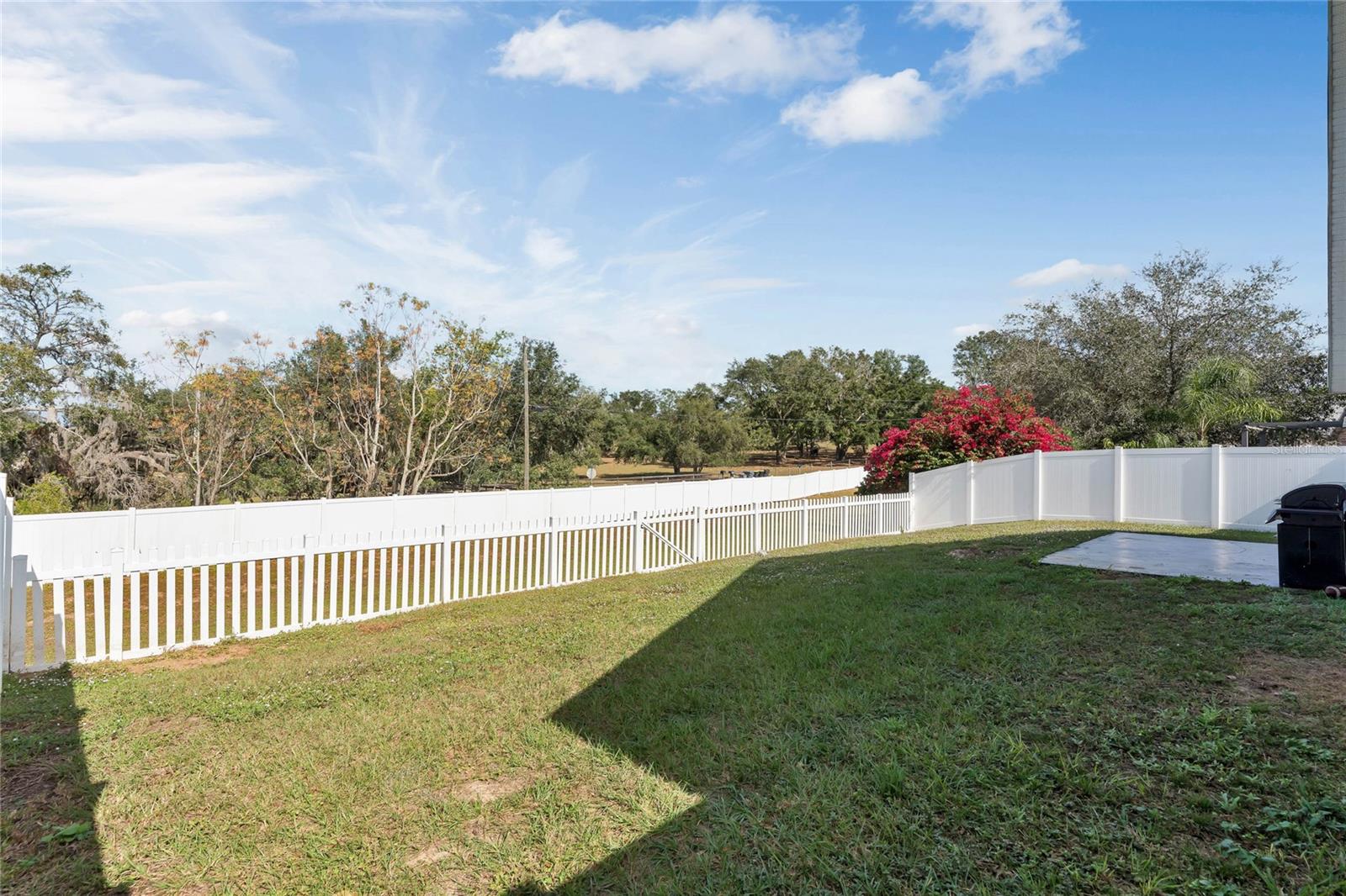 704 LAKE CHARLES DR, DAVENPORT, FL, 33837