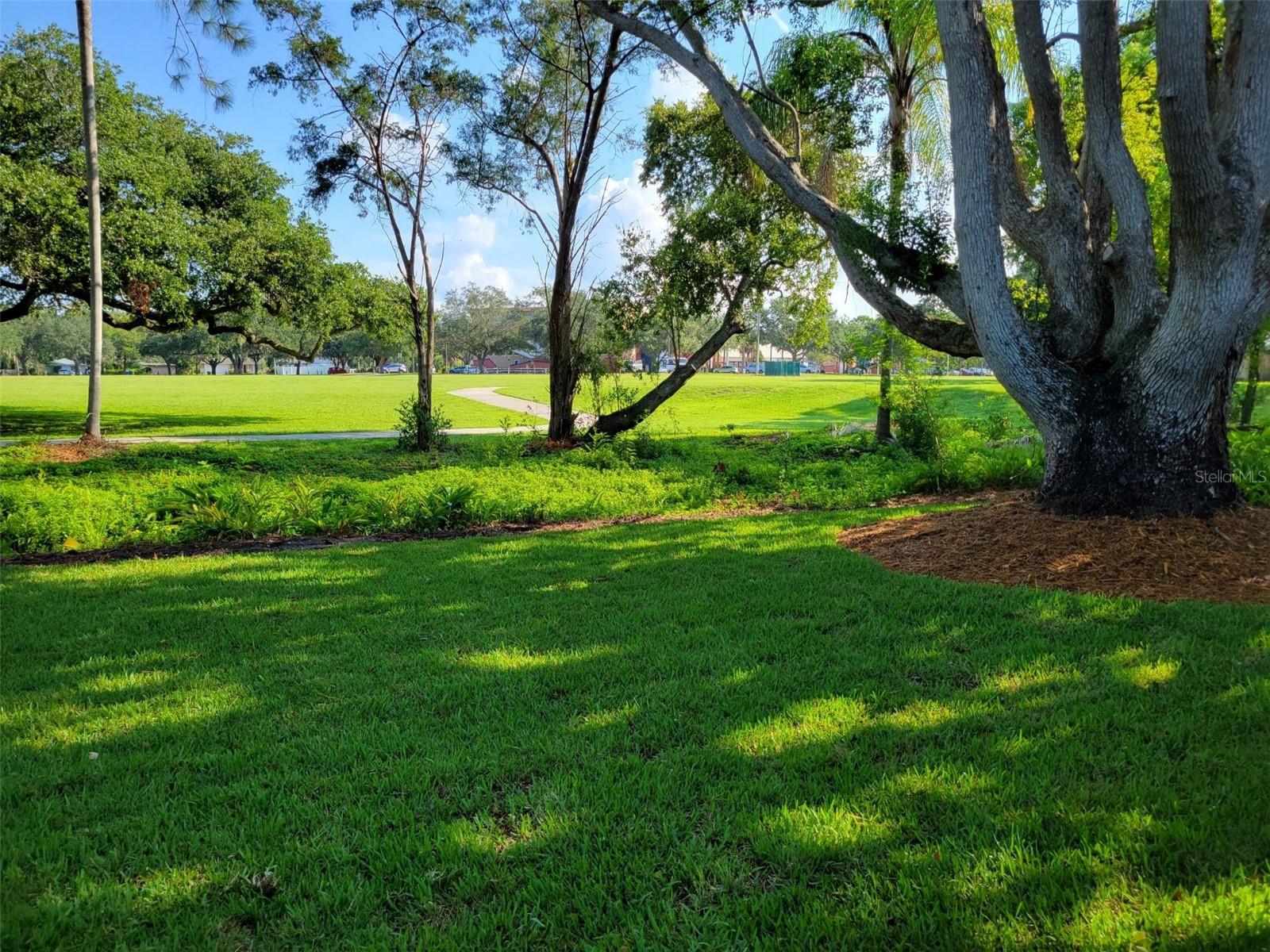 Backyard.