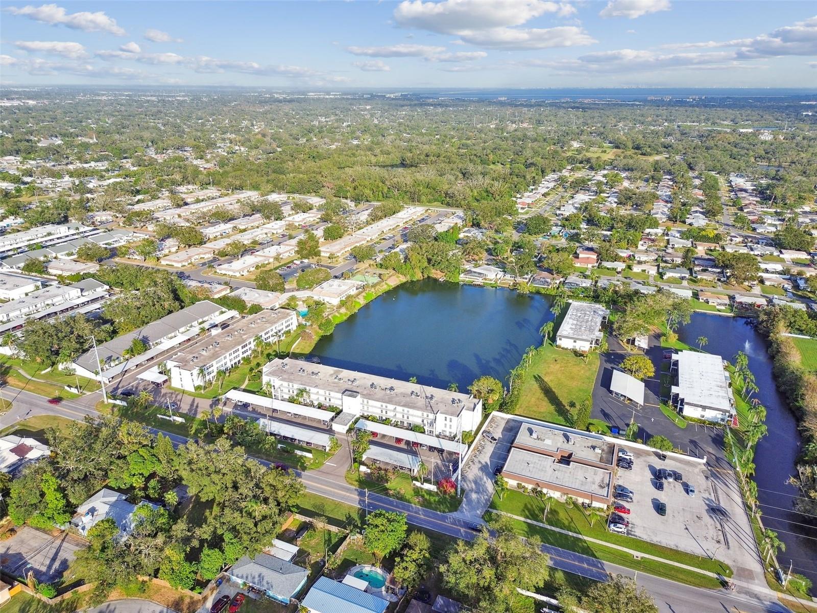 1655 S HIGHLAND AVE #J291, CLEARWATER, FL, 33756