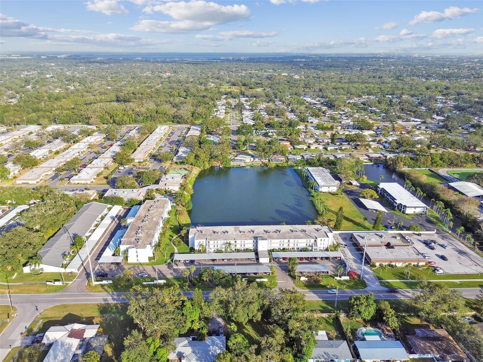 1655 S HIGHLAND AVE #J291, CLEARWATER, FL, 33756